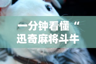 一分钟看懂“迅奇麻将斗牛挂安装”事实上真的有挂