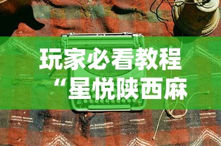 玩家必看教程“青鸟大厅金花有透视挂吗”科技辅助神器手机版教程