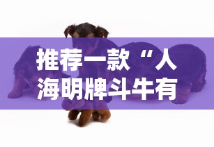 推荐一款“人海明牌斗牛有挂吗	”其实确实有挂