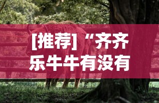 [推荐]“齐齐乐牛牛有没有挂”(透视)开挂详细教程