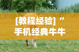 [教程经验]“手机经典牛牛有没有挂”实测确实有挂