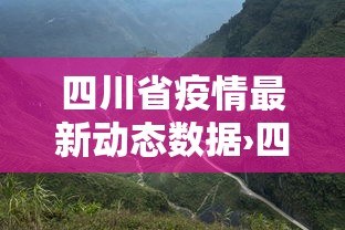 专用辅助“大赢家跑得快挂”确实可以使用辅助