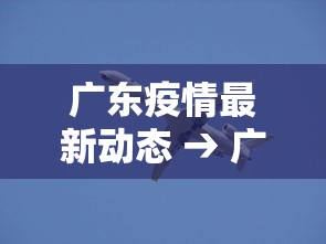 专用辅助“大赢家跑得快挂”确实可以使用辅助