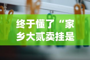 终于懂了“家乡大贰卖挂是真的吗”作弊挂(辅助外挂+