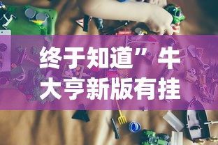 终于知道”牛大亨新版有挂吗?_游戏_玩家_工具
