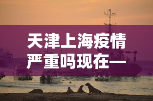 玩家必读“血战到底怎么赢的多”辅助工具插件,揭秘技巧开挂