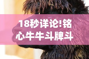 18秒详论!铭心牛牛斗牌斗牛中心究竟有挂”开挂(透视)辅助教程