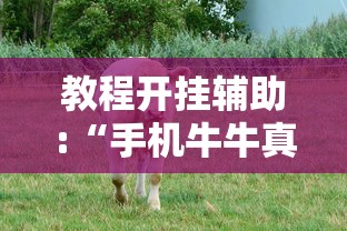 教程开挂辅助:“手机牛牛真的有挂吗”详细开挂玩法