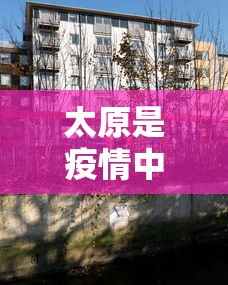 教教大家“微乐家乡麻将里面斗地主有挂吗”(详细透视教程)-