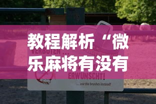 教程解析“微乐麻将有没有诀窍”(曝光透视必备猫腻)