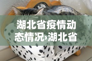 必看科普“阳泉胡乐麻将有挂吗”开挂安装教程