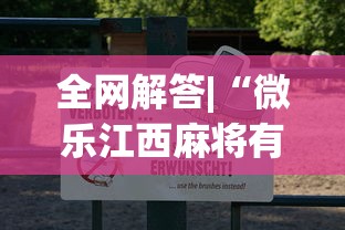 全网解答|“微乐江西麻将有挂吗”附透视挂详细教程 