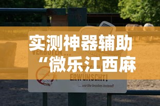 实测神器辅助“微乐江西麻将怎么赢	”辅助透视教程