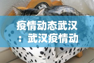 盼盼分享“微乐江西麻将有挂吗”详细辅助软件教程