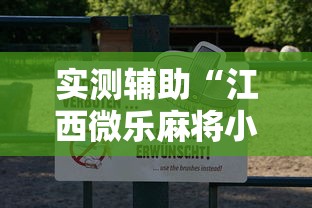 实测辅助“江西微乐麻将小程序下载挂”-原来有挂